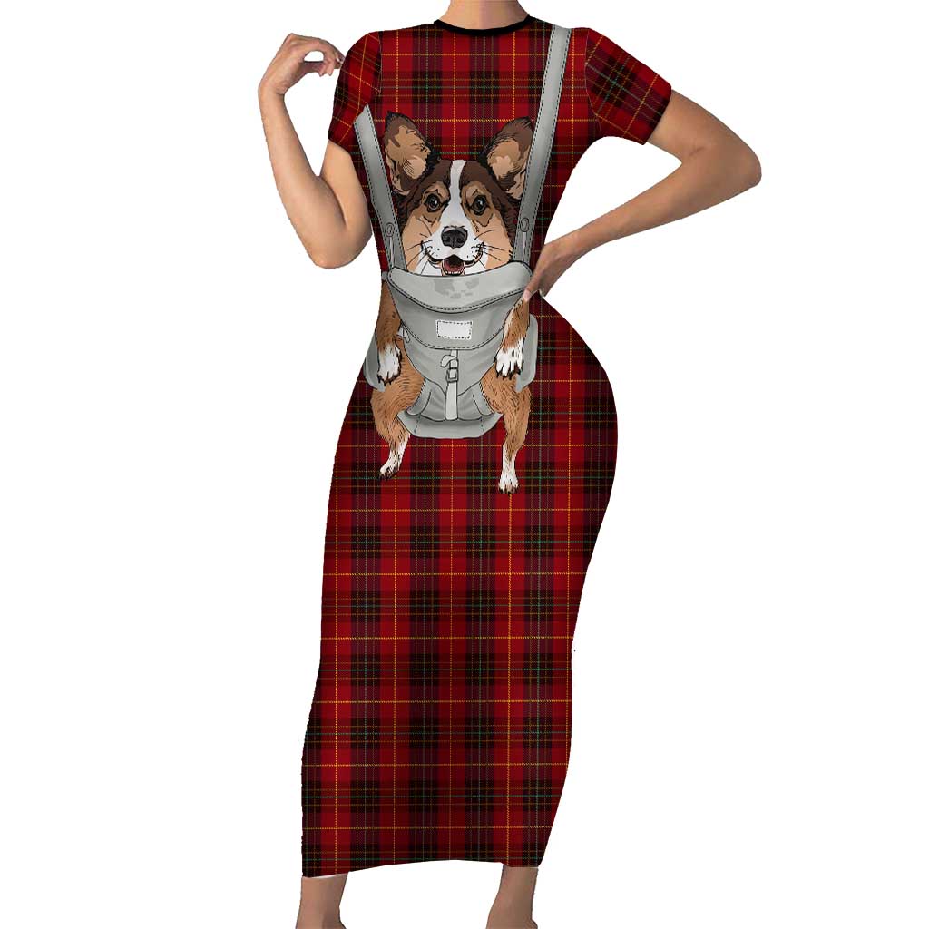 Front Carrier Dog Pembroke Welsh Corgi Christmas Family Matching Short Sleeve Bodycon Dress and Hawaiian Shirt Xmas Holiday Patterns - Wonder Print Shop