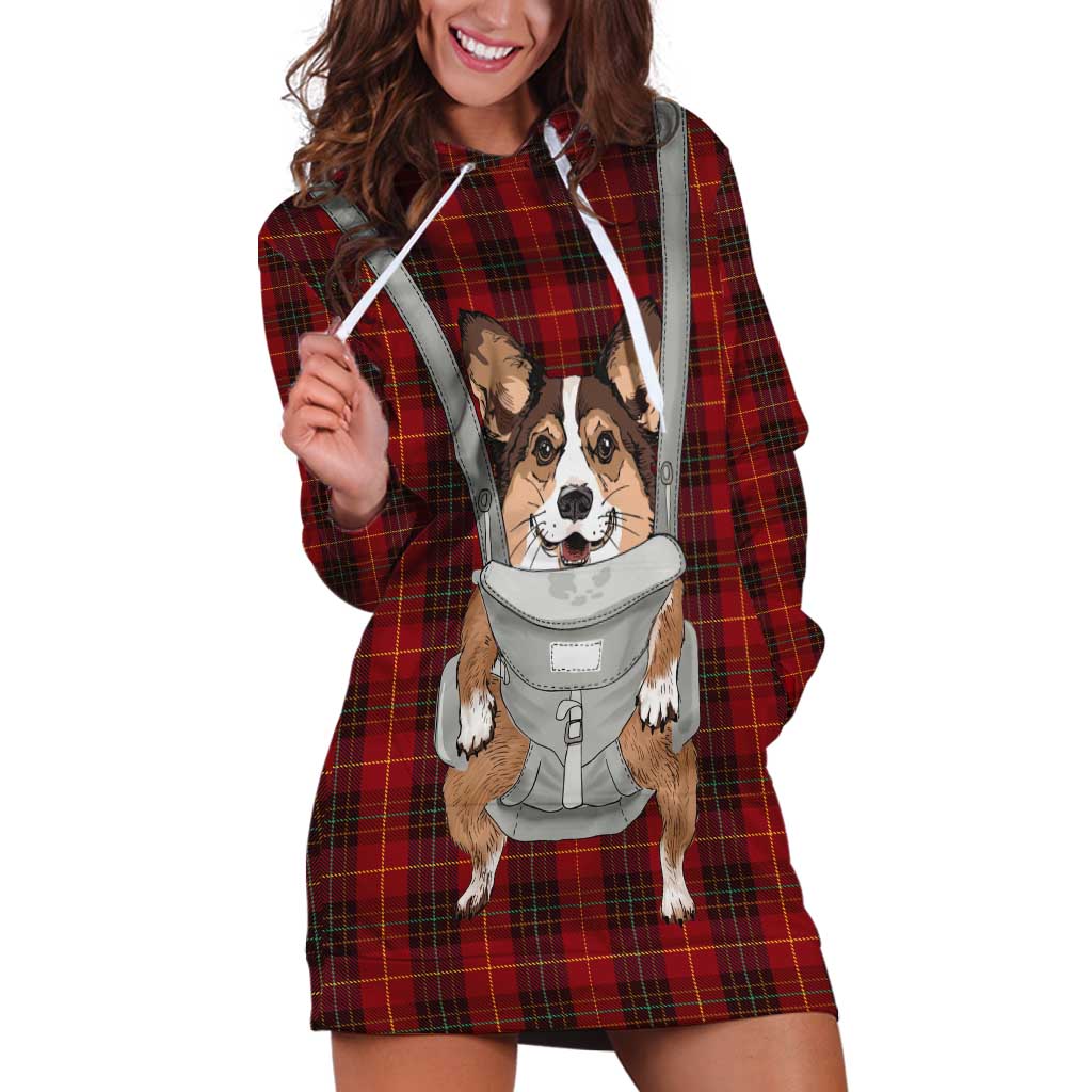 Front Carrier Dog Pembroke Welsh Corgi Christmas Hoodie Dress Xmas Holiday Patterns - Wonder Print Shop