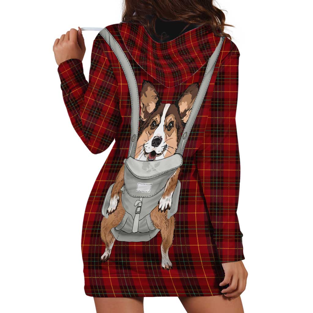 Front Carrier Dog Pembroke Welsh Corgi Christmas Hoodie Dress Xmas Holiday Patterns - Wonder Print Shop