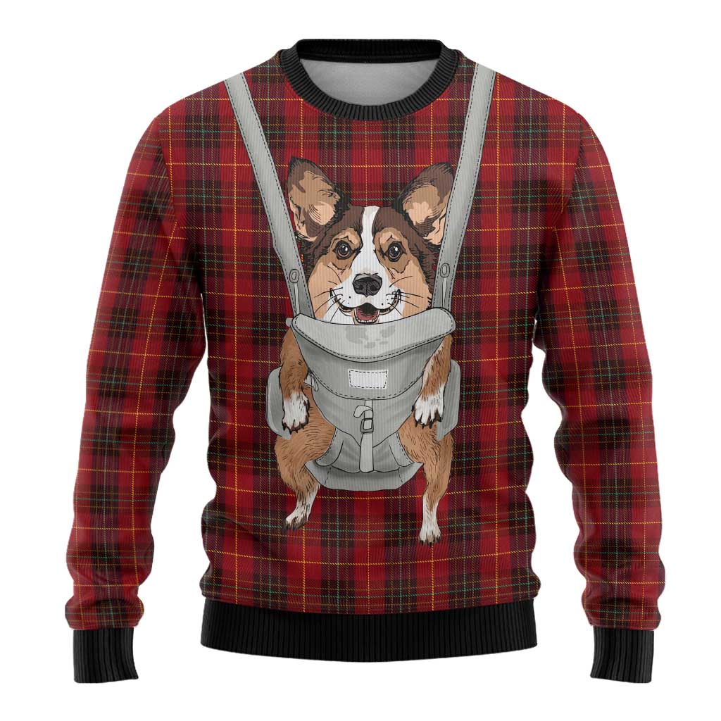 Front Carrier Dog Pembroke Welsh Corgi Christmas Ugly Christmas Sweater Xmas Holiday Patterns - Wonder Print Shop