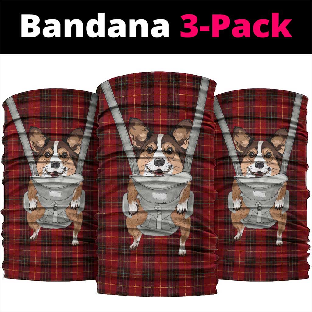 Front Carrier Dog Pembroke Welsh Corgi Christmas Neck Gaiter Xmas Holiday Patterns - Wonder Print Shop