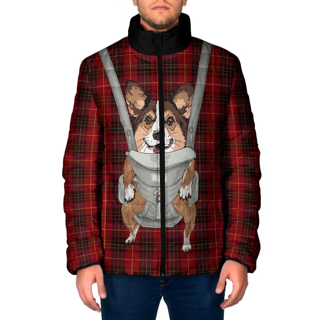 Front Carrier Dog Pembroke Welsh Corgi Christmas Padded Jacket Xmas Holiday Patterns - Wonder Print Shop