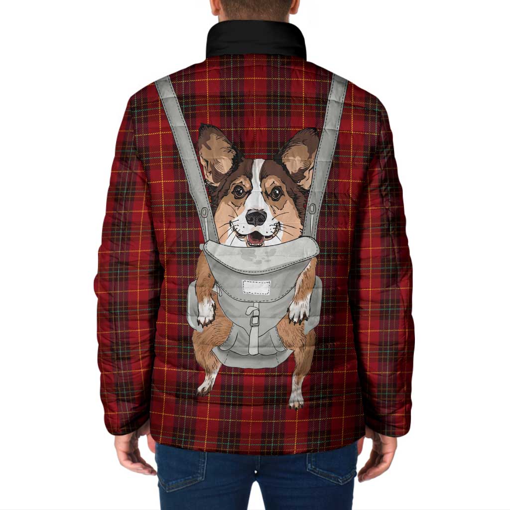 Front Carrier Dog Pembroke Welsh Corgi Christmas Padded Jacket Xmas Holiday Patterns - Wonder Print Shop