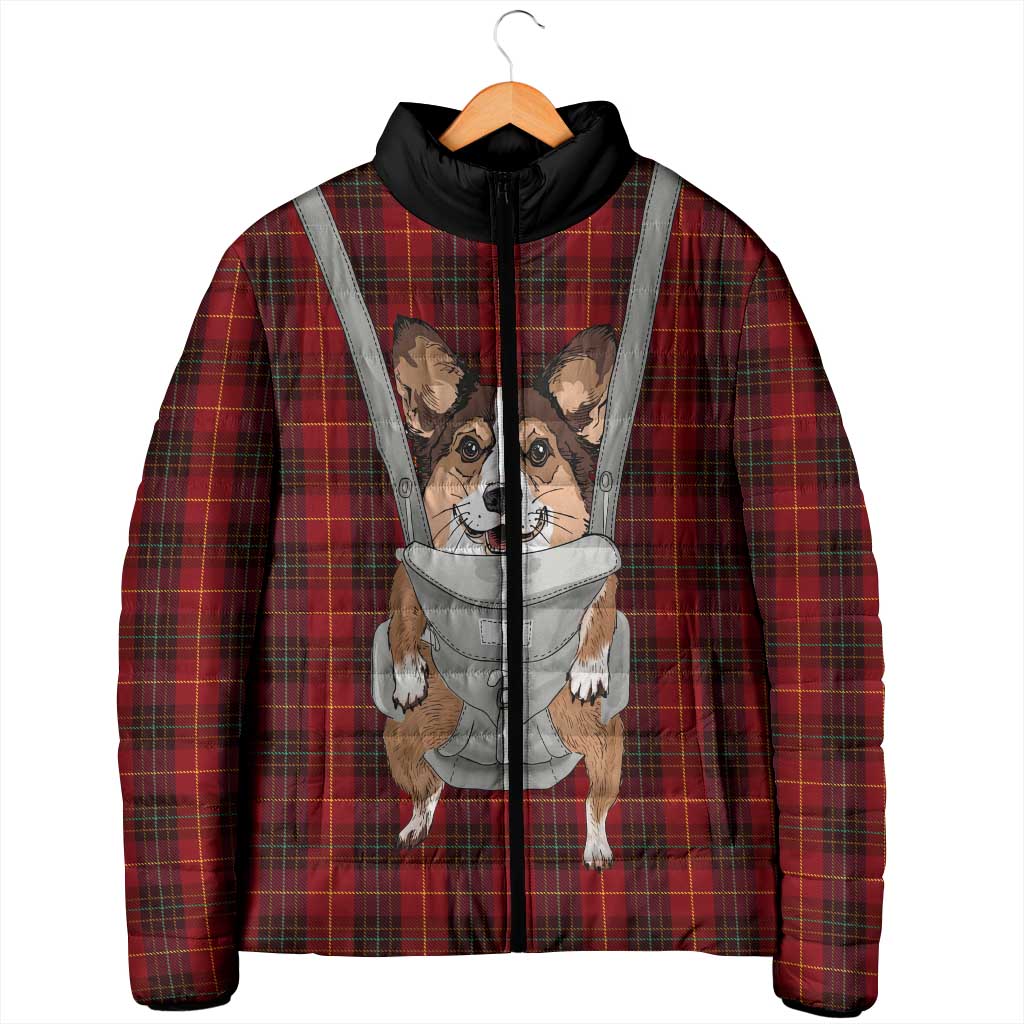 Front Carrier Dog Pembroke Welsh Corgi Christmas Padded Jacket Xmas Holiday Patterns - Wonder Print Shop
