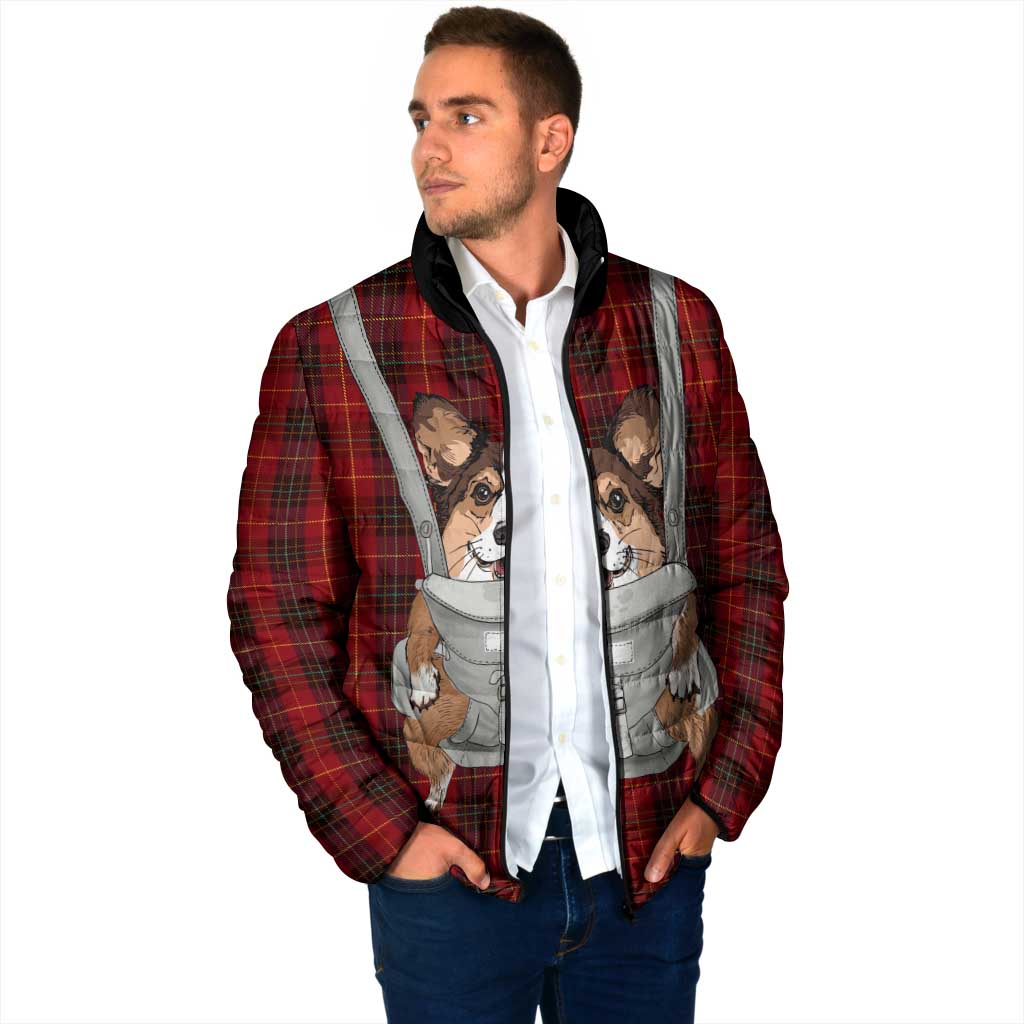Front Carrier Dog Pembroke Welsh Corgi Christmas Padded Jacket Xmas Holiday Patterns - Wonder Print Shop