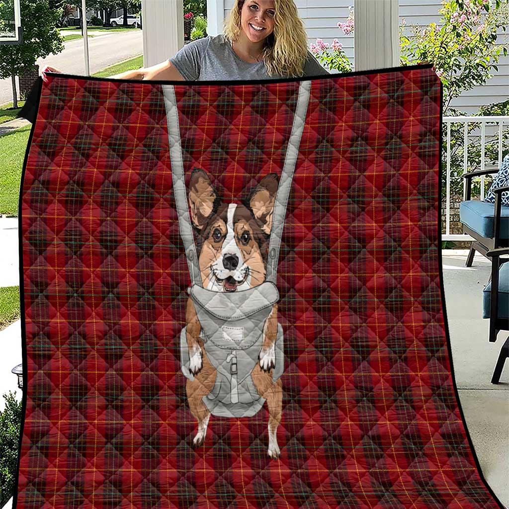 Front Carrier Dog Pembroke Welsh Corgi Christmas Quilt Xmas Holiday Patterns - Wonder Print Shop