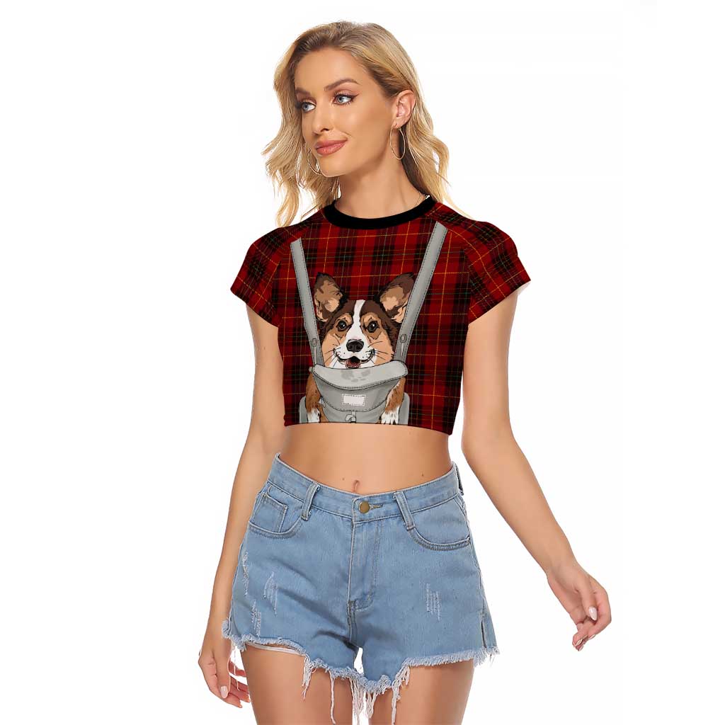 Front Carrier Dog Pembroke Welsh Corgi Christmas Raglan Cropped T Shirt Xmas Holiday Patterns - Wonder Print Shop