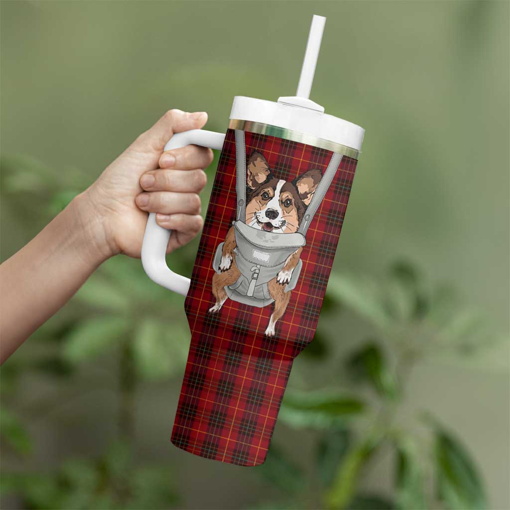 Front Carrier Dog Pembroke Welsh Corgi Christmas Tumbler With Handle Xmas Holiday Patterns - Wonder Print Shop