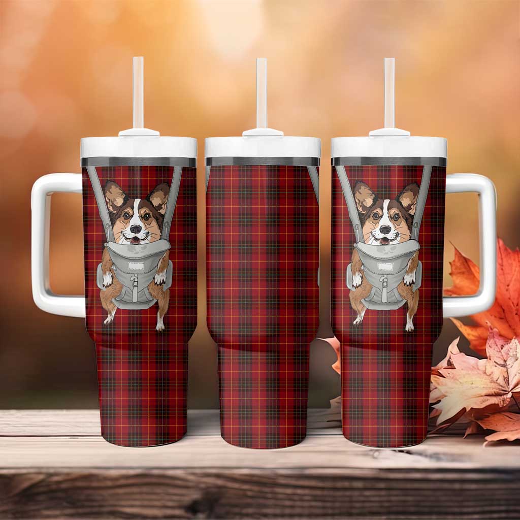 Front Carrier Dog Pembroke Welsh Corgi Christmas Tumbler With Handle Xmas Holiday Patterns - Wonder Print Shop
