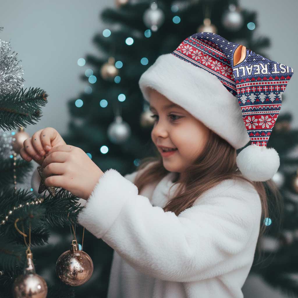 I Just Really Like Donkey Christmas Christmas Santa Hat Xmas Holiday Patterns - Wonder Print Shop