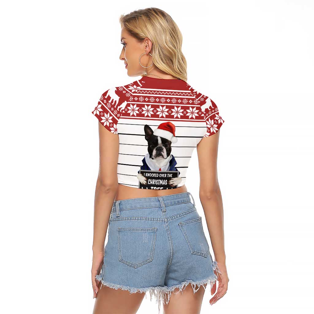 I Knocked Over Yhe Christmas Tree Christmas Christmas Raglan Cropped T Shirt Xmas Holiday Patterns - Wonder Print Shop