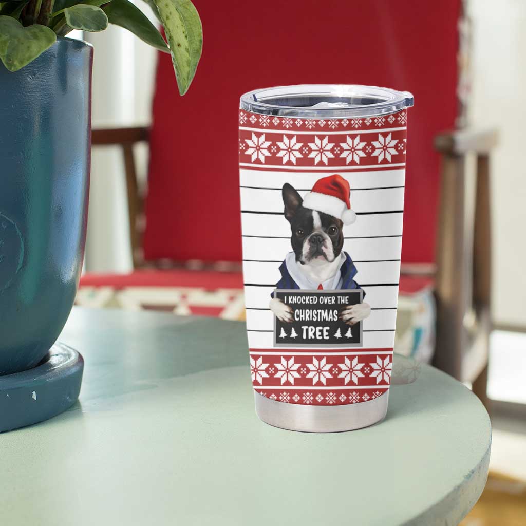 I Knocked Over Yhe Christmas Tree Christmas Christmas Tumbler Cup Xmas Holiday Patterns - Wonder Print Shop
