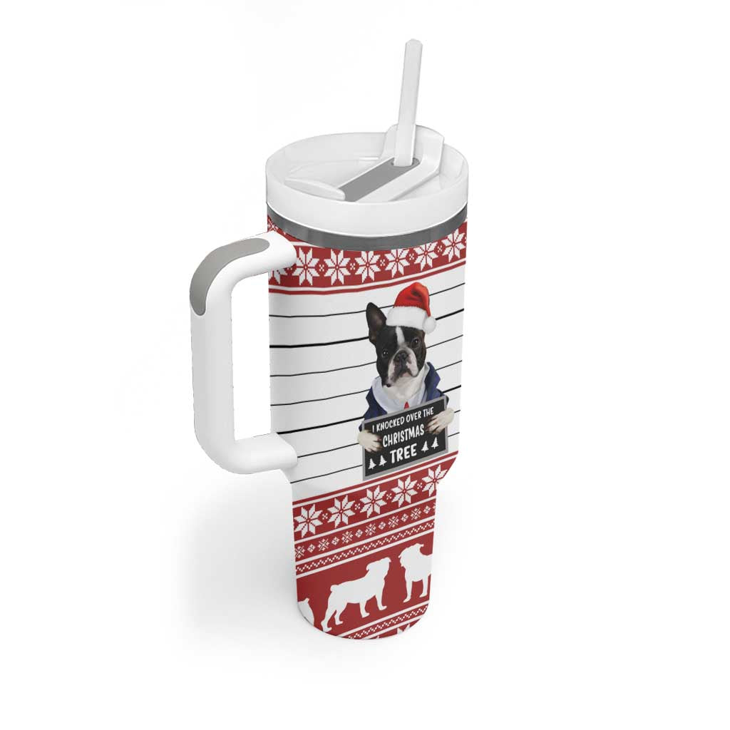 I Knocked Over Yhe Christmas Tree Christmas Christmas Tumbler With Handle Xmas Holiday Patterns - Wonder Print Shop