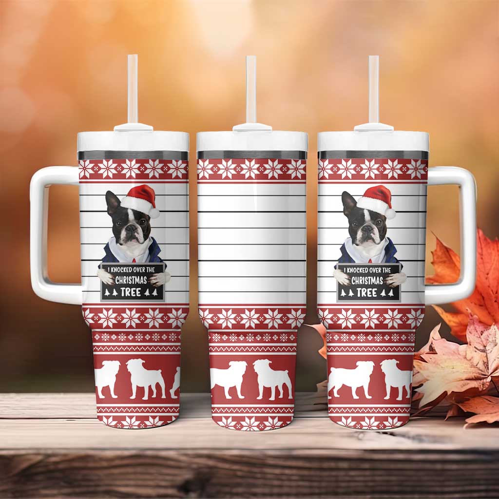 I Knocked Over Yhe Christmas Tree Christmas Christmas Tumbler With Handle Xmas Holiday Patterns - Wonder Print Shop