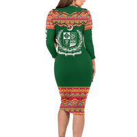 Pakistan Truck Art Family Matching Long Sleeve Bodycon Dress and Hawaiian Shirt National Emblem & Traditional Patterns