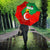 Darfur Sudan Umbrella with Red Green Yellow Crescent Star - Wonder Print Shop