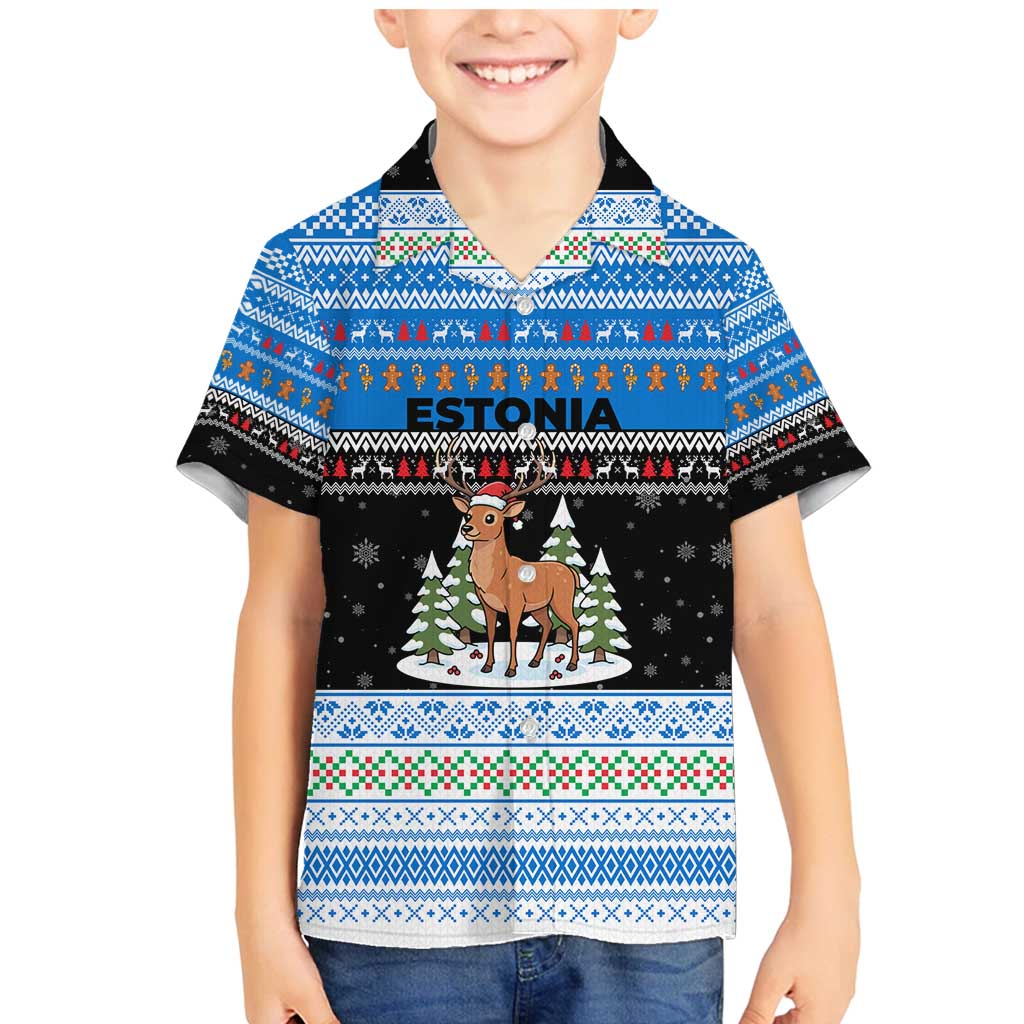 Estonia Christmas Family Matching Mermaid Dress and Hawaiian Shirt with Reindeer Gingerbread Snowflakes National Emblem and Winter Forest - Wonder Print Shop