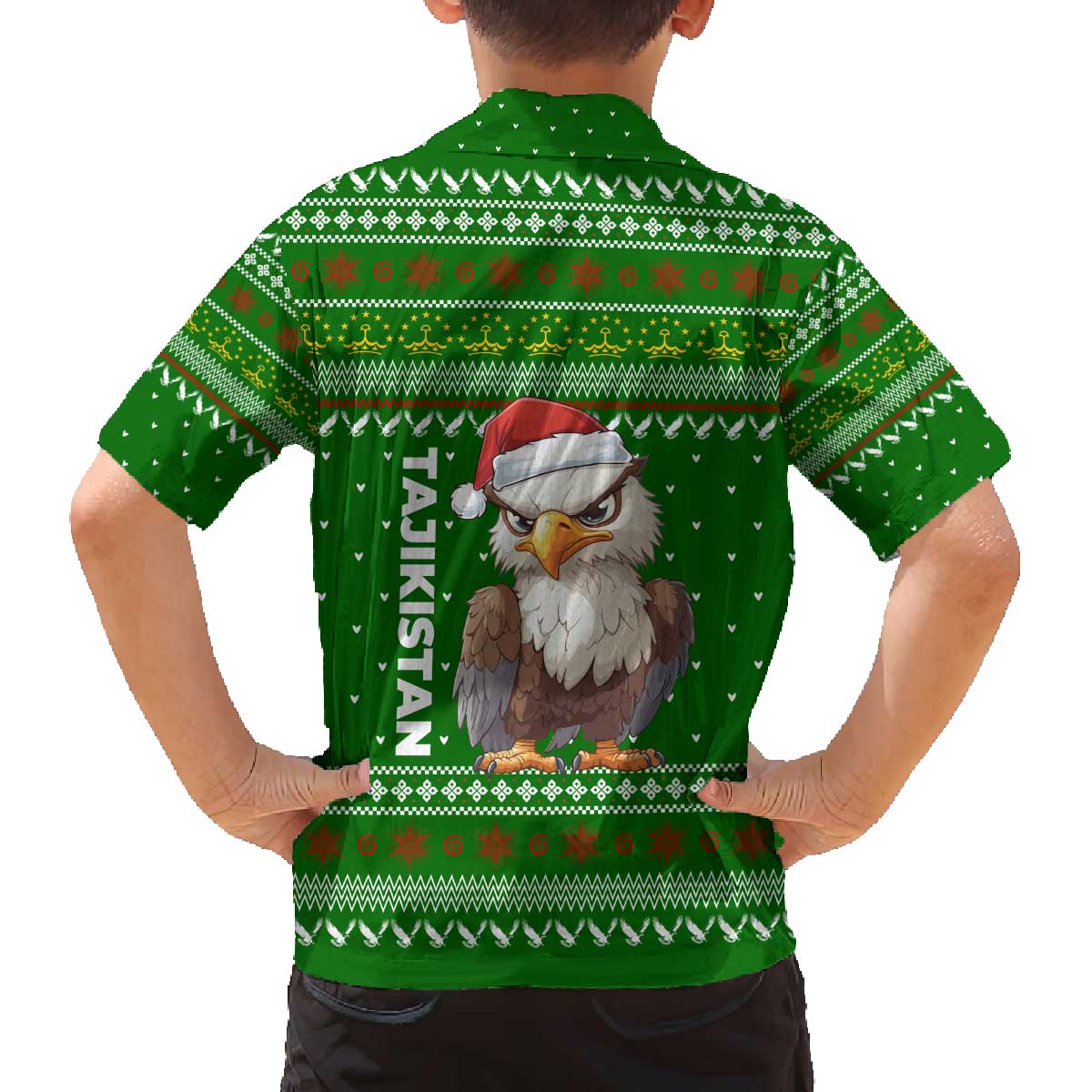 Tajikistan Christmas Family Matching Off The Shoulder Long Sleeve Dress and Hawaiian Shirt with Santa Hat Eagle Green Snowflake Pattern and Holiday Design - Wonder Print Shop