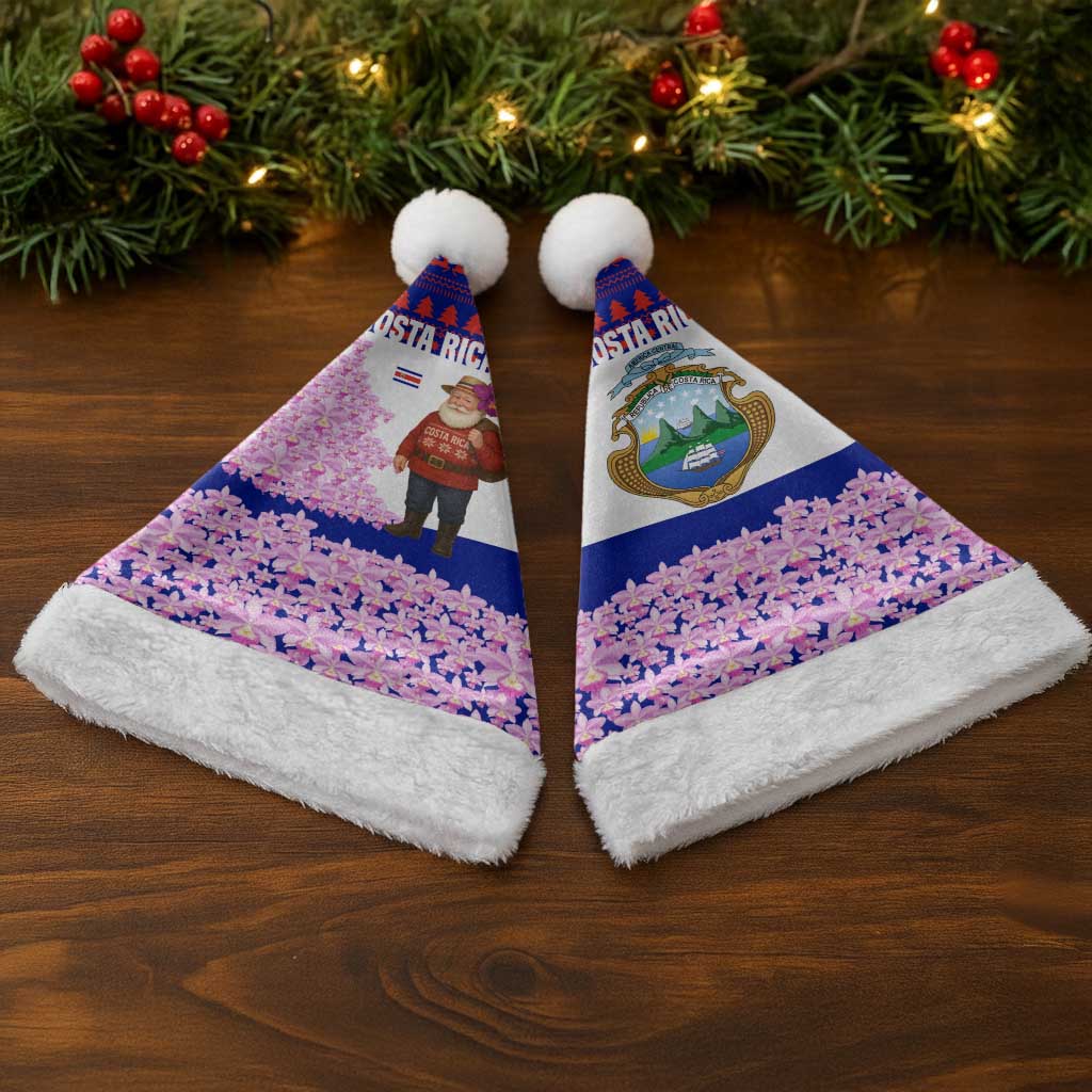 Costa Rica Christmas Santa Hat with Santa Claus Pink Orchid Tree National Emblem and Festive Pattern Design - Wonder Print Shop