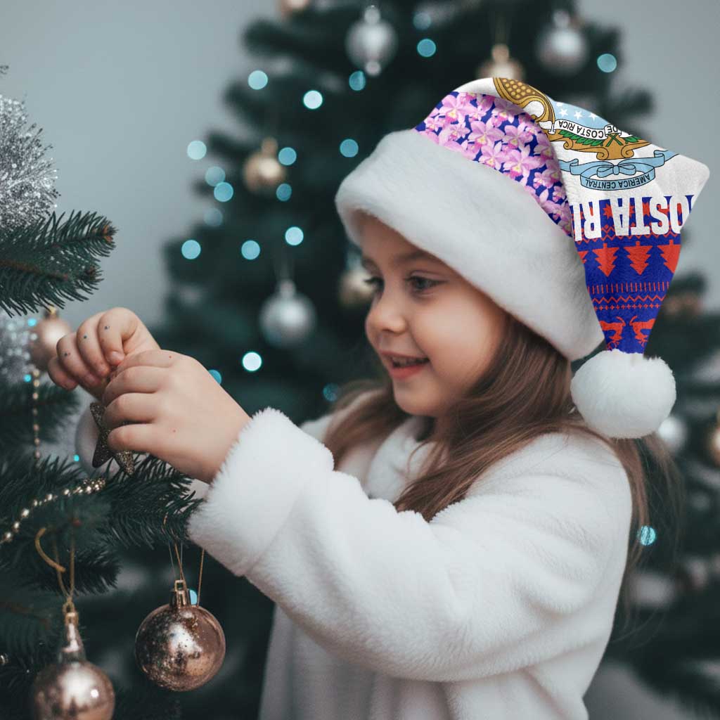 Costa Rica Christmas Santa Hat with Santa Claus Pink Orchid Tree National Emblem and Festive Pattern Design - Wonder Print Shop