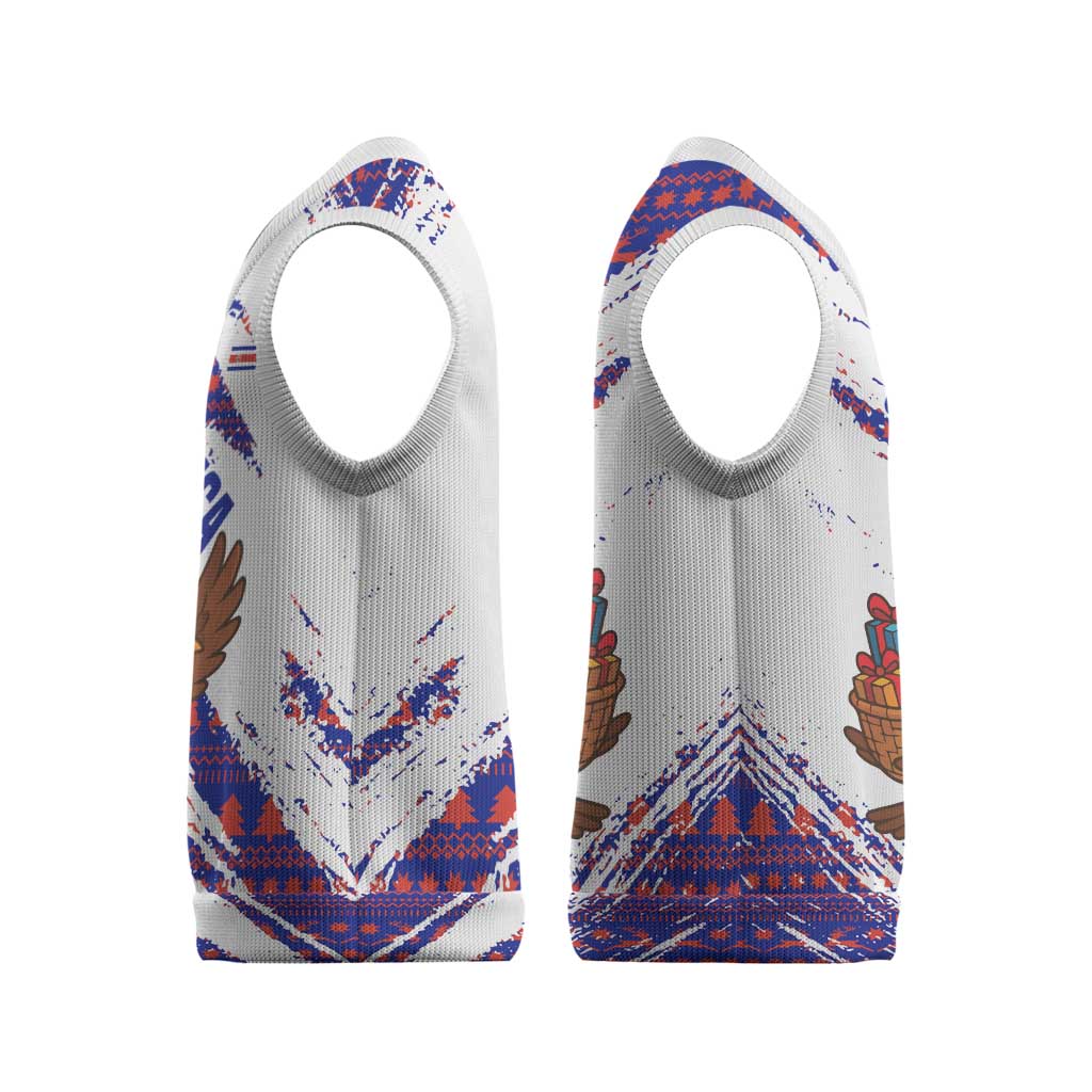 Costa Rica Christmas Knitted V-Neck Vest with Holiday Bird Gifts Red Blue Pattern and National Flag Design - Wonder Print Shop