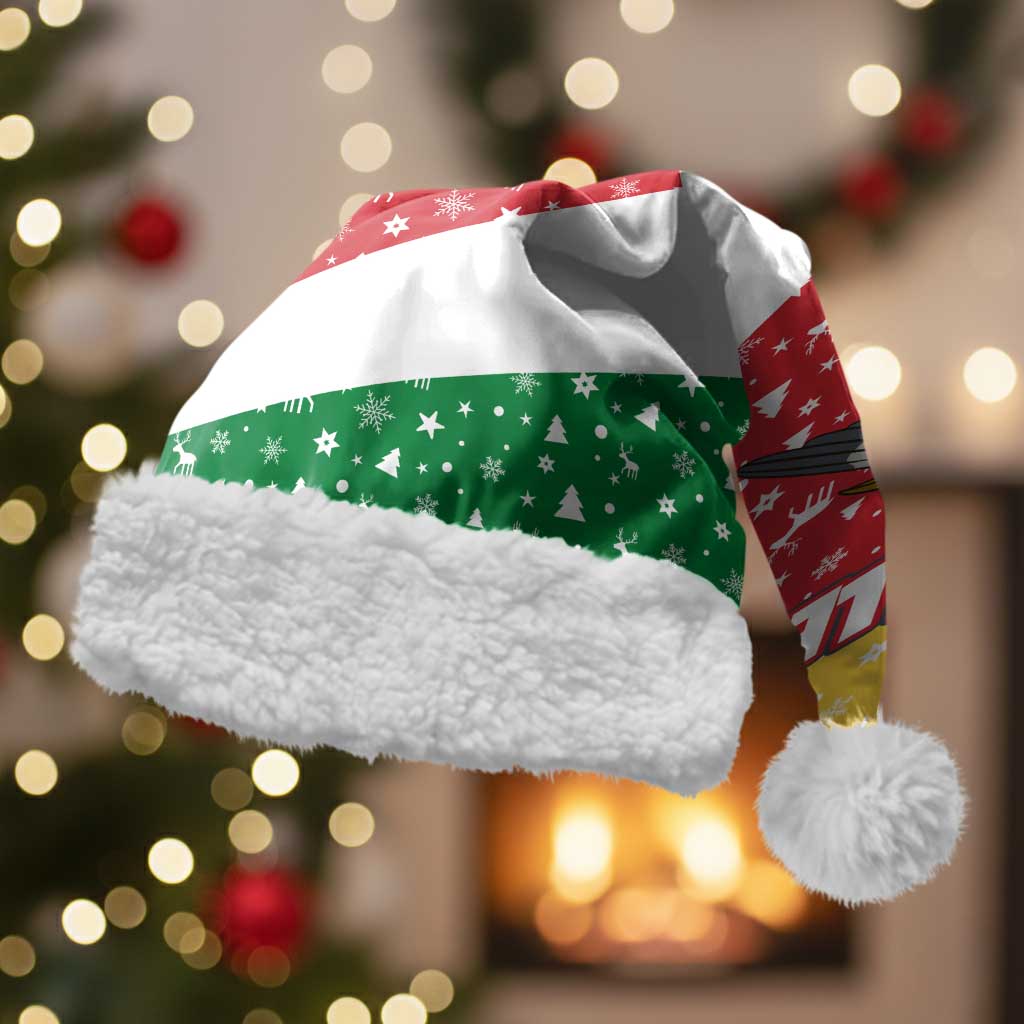 Seychelles Christmas Santa Hat with Flag Colors Pattern, Tropical Bird Motif, and National Coat of Arms - Wonder Print Shop