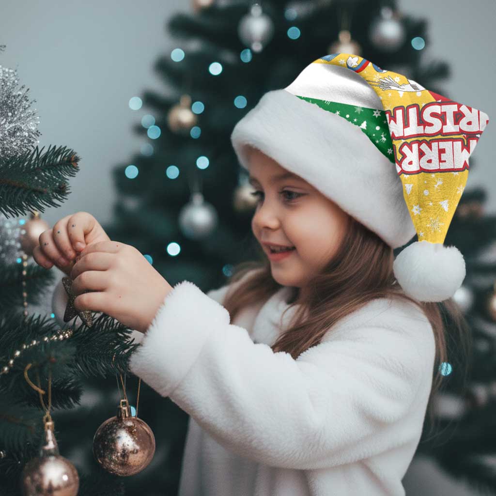 Seychelles Christmas Santa Hat with Flag Colors Pattern, Tropical Bird Motif, and National Coat of Arms - Wonder Print Shop