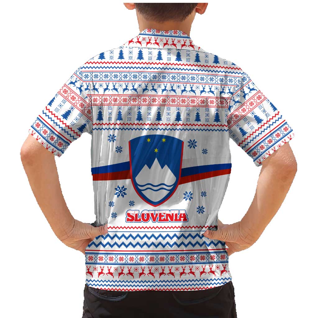 Slovenian Winter Family Matching Mermaid Dress and Hawaiian Shirt Ljubljana Dragon with Nordic Snowflakes and Alpine Vibes