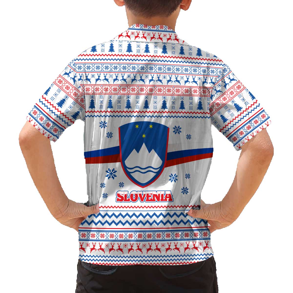 Slovenian Winter Family Matching Off The Shoulder Long Sleeve Dress and Hawaiian Shirt Ljubljana Dragon with Nordic Snowflakes and Alpine Vibes