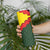 Belgium Skinny Tumbler with Royal Coat of Arms Crown Lion Red Green Checker Spirit