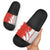 Switzerland Map Scratch Claw Swiss Flag Slide Sandals with Vertical Text - Wonder Print Shop