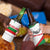 Germany Heligoland 4 in 1 Can Cooler Tumbler with Seal Graphic and Red Green Wave Nature - Wonder Print Shop