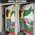 Germany Heligoland Door Cover with Seal Graphic and Red Green Wave Nature - Wonder Print Shop