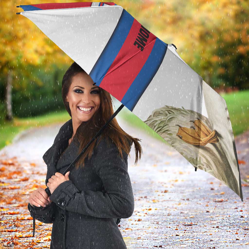 Faroe Islands Umbrella with Red Blue Cross Design and Puffin Bird - Wonder Print Shop