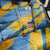 United States Virgin Islands Back Car Seat Cover with Blue Yellow Eagle Design and Government Seal - Wonder Print Shop