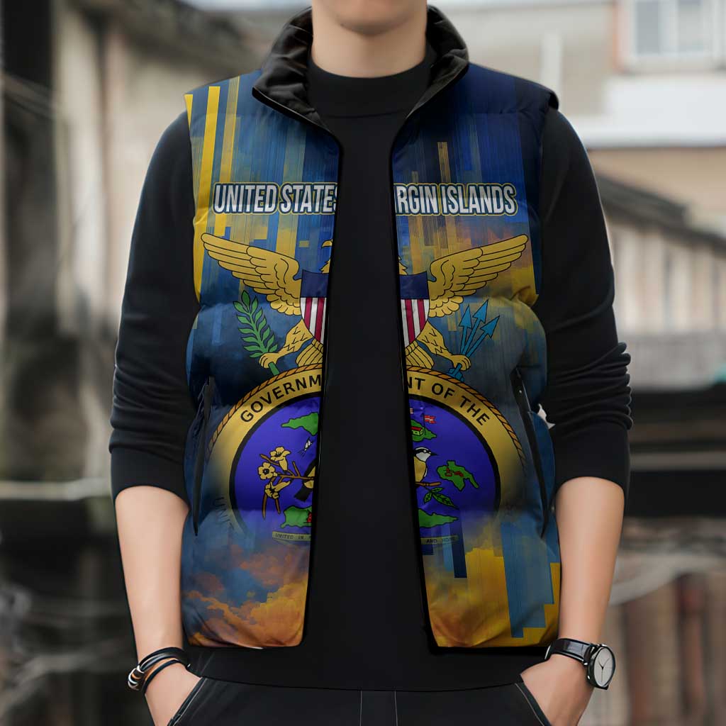 United States Virgin Islands Sleeveless Puffer Jacket with Blue Yellow Government Seal Design and Bald Eagle - Wonder Print Shop