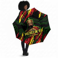 Menelik II Umbrella with Lion of Adwa Title, Battle of Adwa 1896 Graphic and Bold Pan-African - Wonder Print Shop