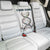 Fishing DNA Back Car Seat Cover Colorful Fish Illustrations on White Scale For Fisherman - Wonder Print Shop