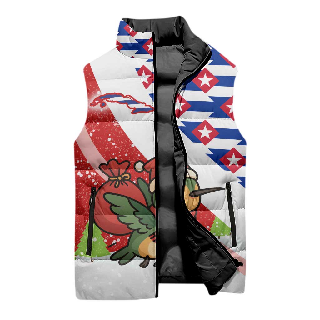 Cuba Christmas Sleeveless Puffer Jacket with Santa Hummingbird Cuban Flag Feliz Navidad and Snowflake - Wonder Print Shop