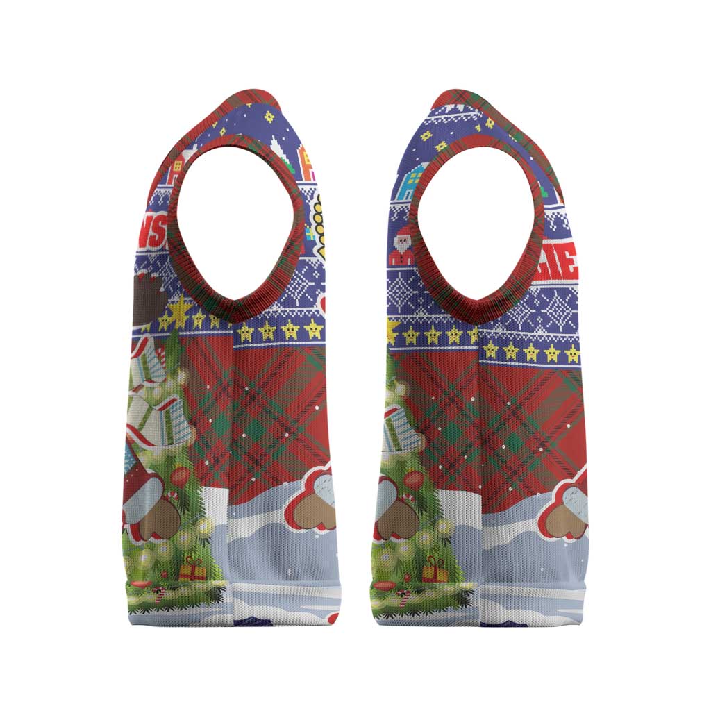 Liechtenstein Christmas Knitted V-Neck Vest with Reindeer Character Holiday Village and Plaid Sleeves - Wonder Print Shop