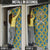 Buffalo Soldiers Christmas Door Cover with Blue Yellow Plaid Parade Illustration Design - Wonder Print Shop