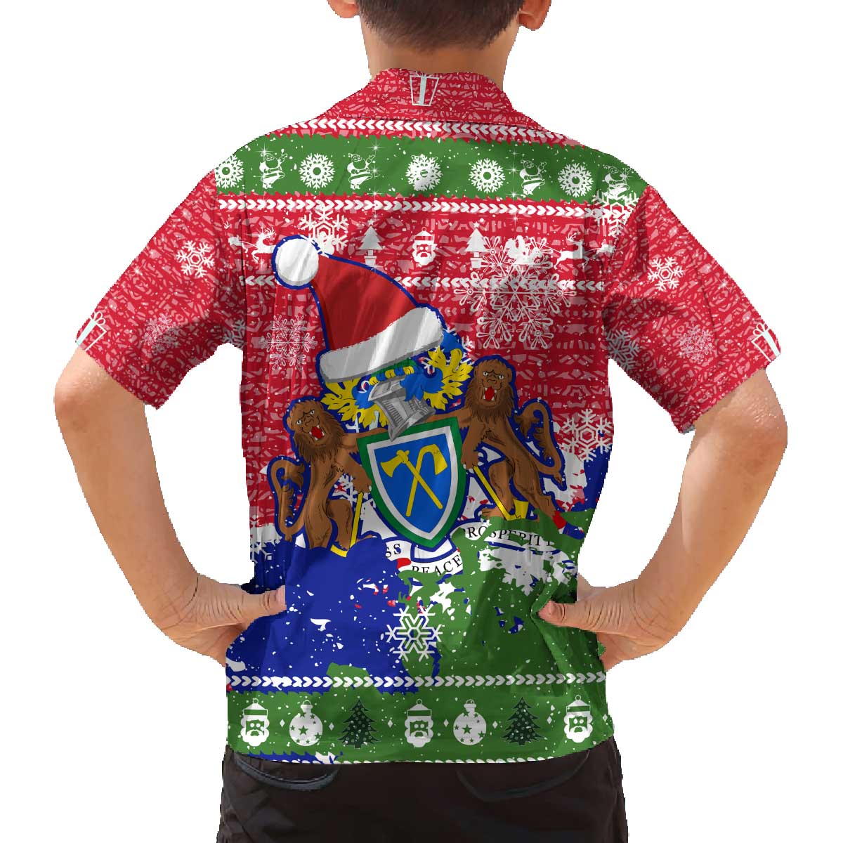 Gambia Christmas Family Matching Off The Shoulder Long Sleeve Dress and Hawaiian Shirt with Santa Hippo National Coat of Arms Snowflakes and Festive Holiday - Wonder Print Shop