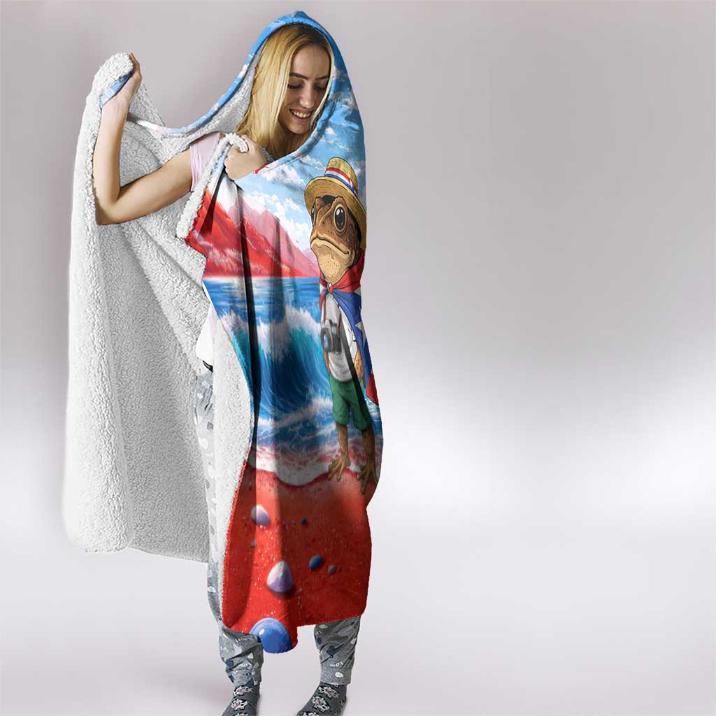 Coqui Frog Puerto Rico Flag Hooded Blanket Taino Boricua Puerto Rican