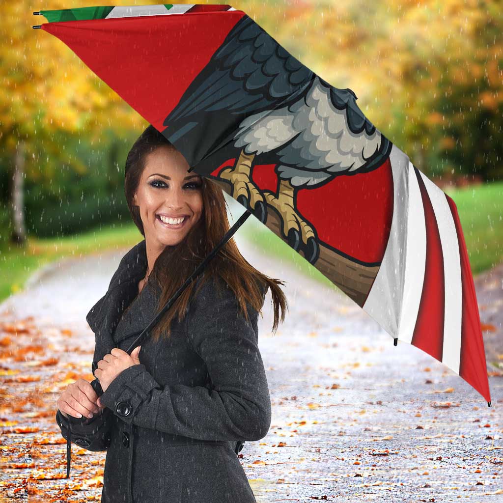 Indigenous Regions of Panama Ngabe-Bugle Umbrella with Harpy Eagle Graphic and Green Red Tribal Pattern 1997 - Wonder Print Shop