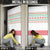 Azerbaijan Christmas Door Cover with Baku Skyline Azerbaijan Flag and Red Green Snowflake Pattern Design - Wonder Print Shop