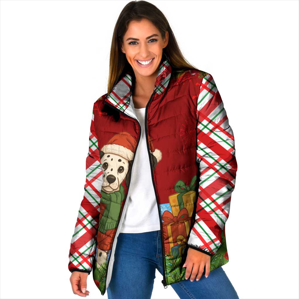 Croatia Christmas Padded Jacket with Dalmatian Dog Presents and Red Plaid Holiday - Wonder Print Shop