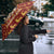 Havanese Best Dog Mom Christmas Umbrella Xmas Holiday Patterns - Wonder Print Shop