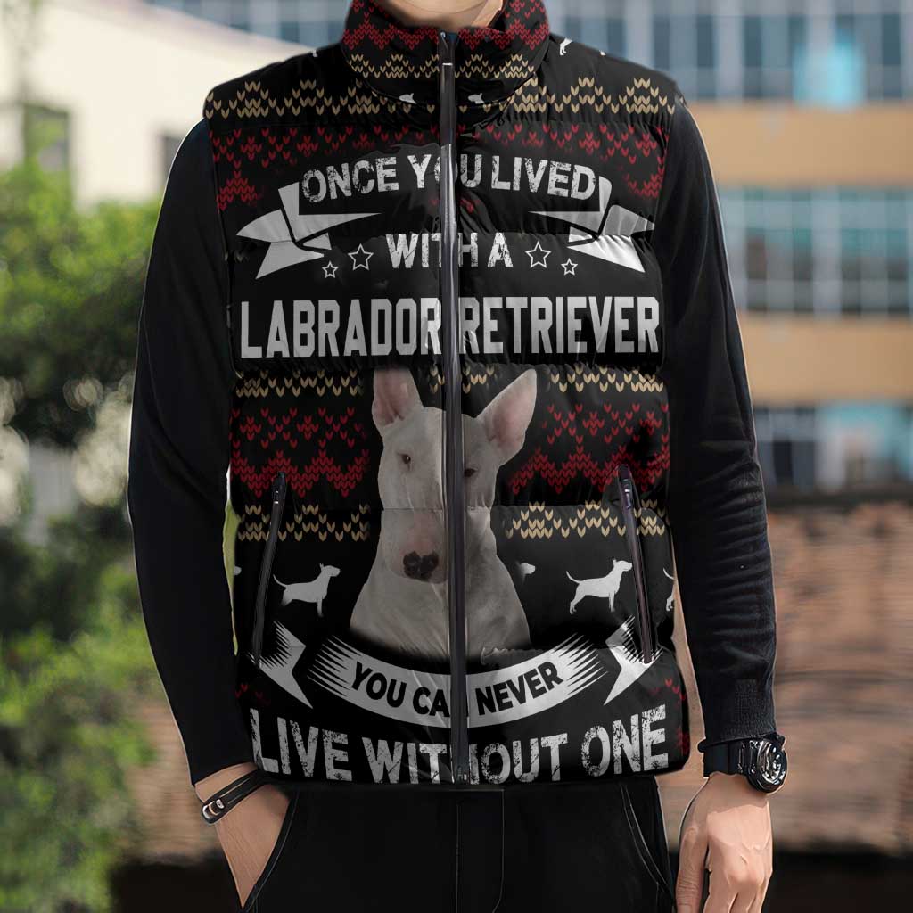Christmas Bull Dog Terrier Sleeveless Puffer Jacket Xmas Holiday Patterns - Wonder Print Shop