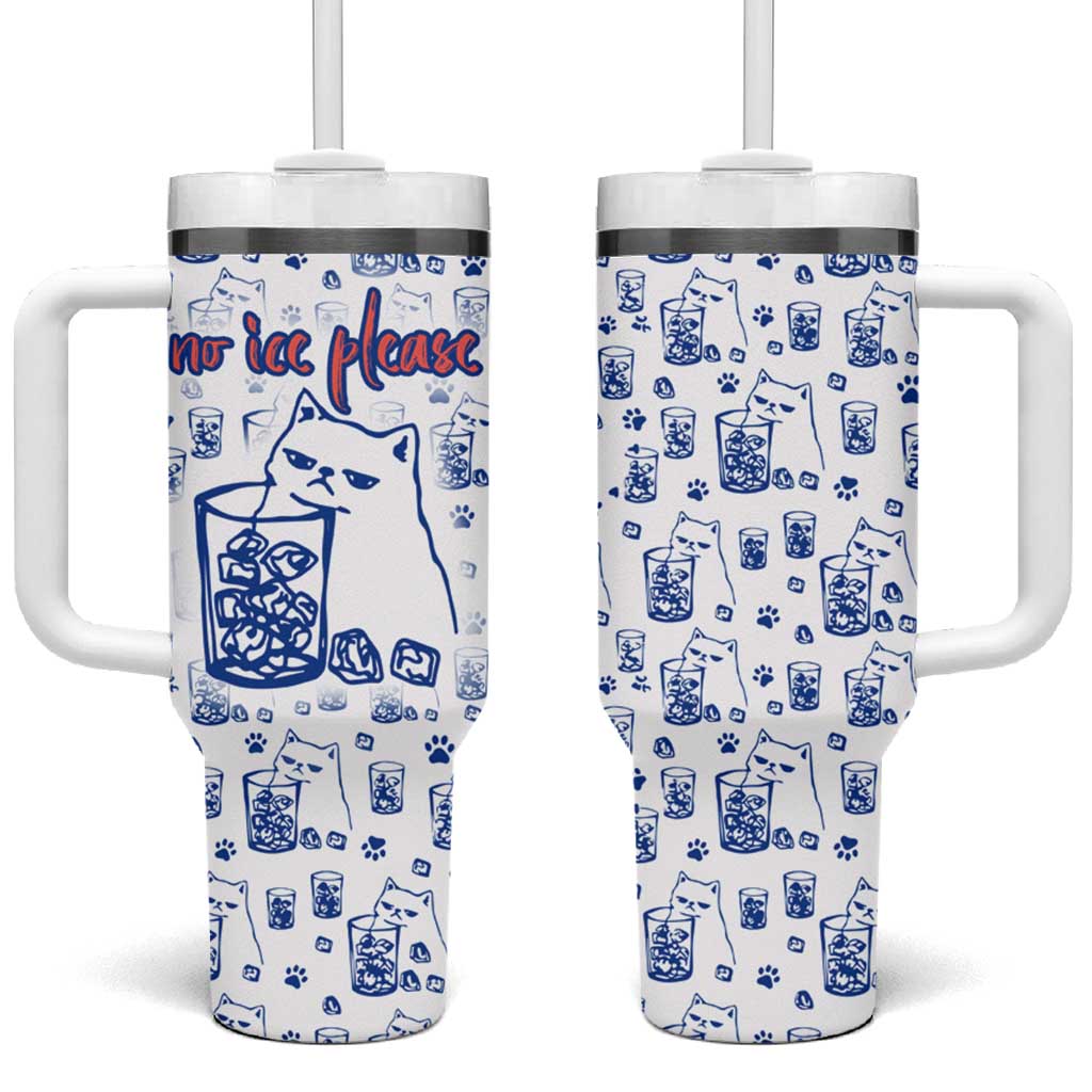 No Ice Please Cat Tumbler With Handle Grumpy Cat with Drink Humor