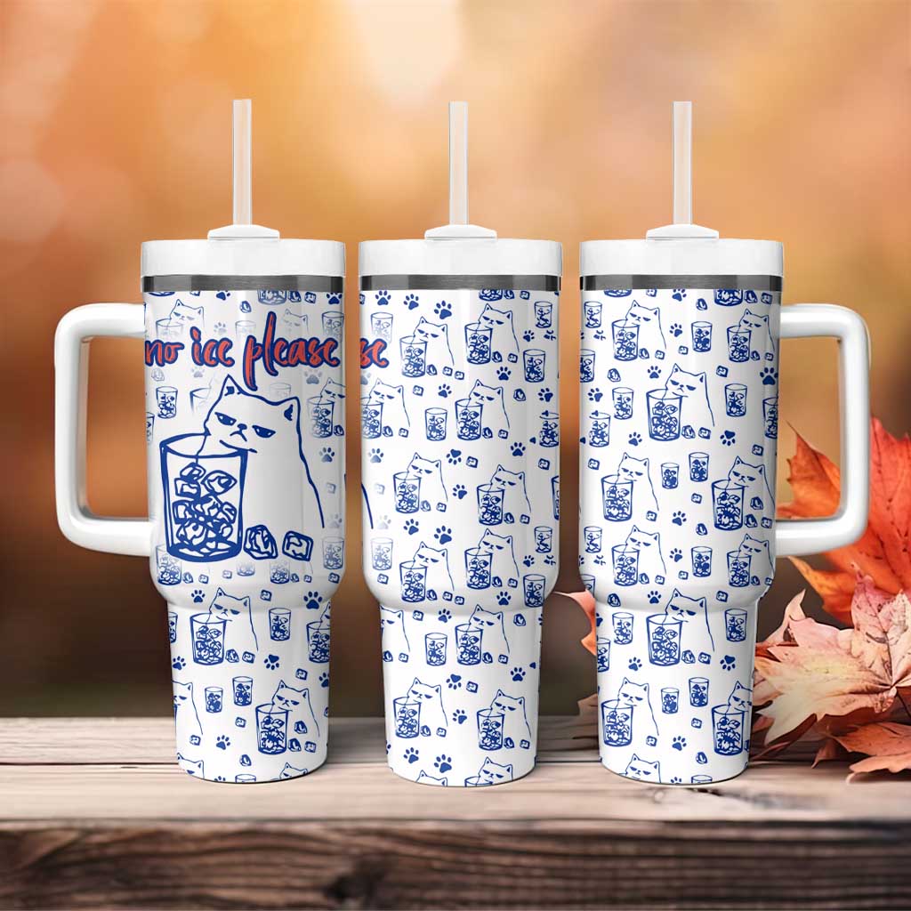 No Ice Please Cat Tumbler With Handle Grumpy Cat with Drink Humor